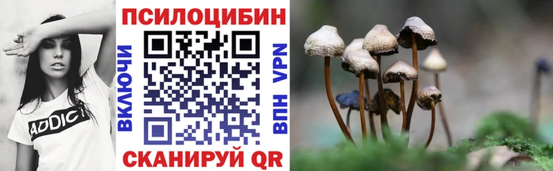 Псилоцибиновые грибы Psilocybine cubensis  Малая Вишера 