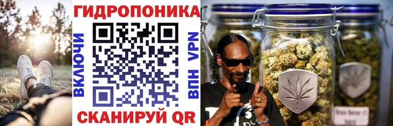 как найти закладки  Малая Вишера  Бошки Шишки сатива 